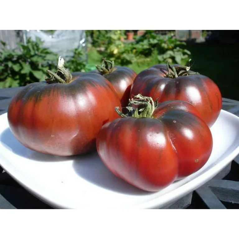 30 BLACK KRIM TOMATO SEEDS ~ heirloomseedguy ~ 2026 ~ USA