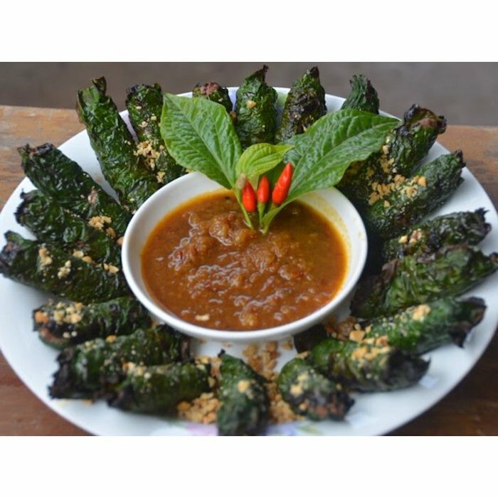 Vietnamese BBQ Leaf – La Lot – Wild Betal Leaf – 10″ – 15″ Tall in Pot
