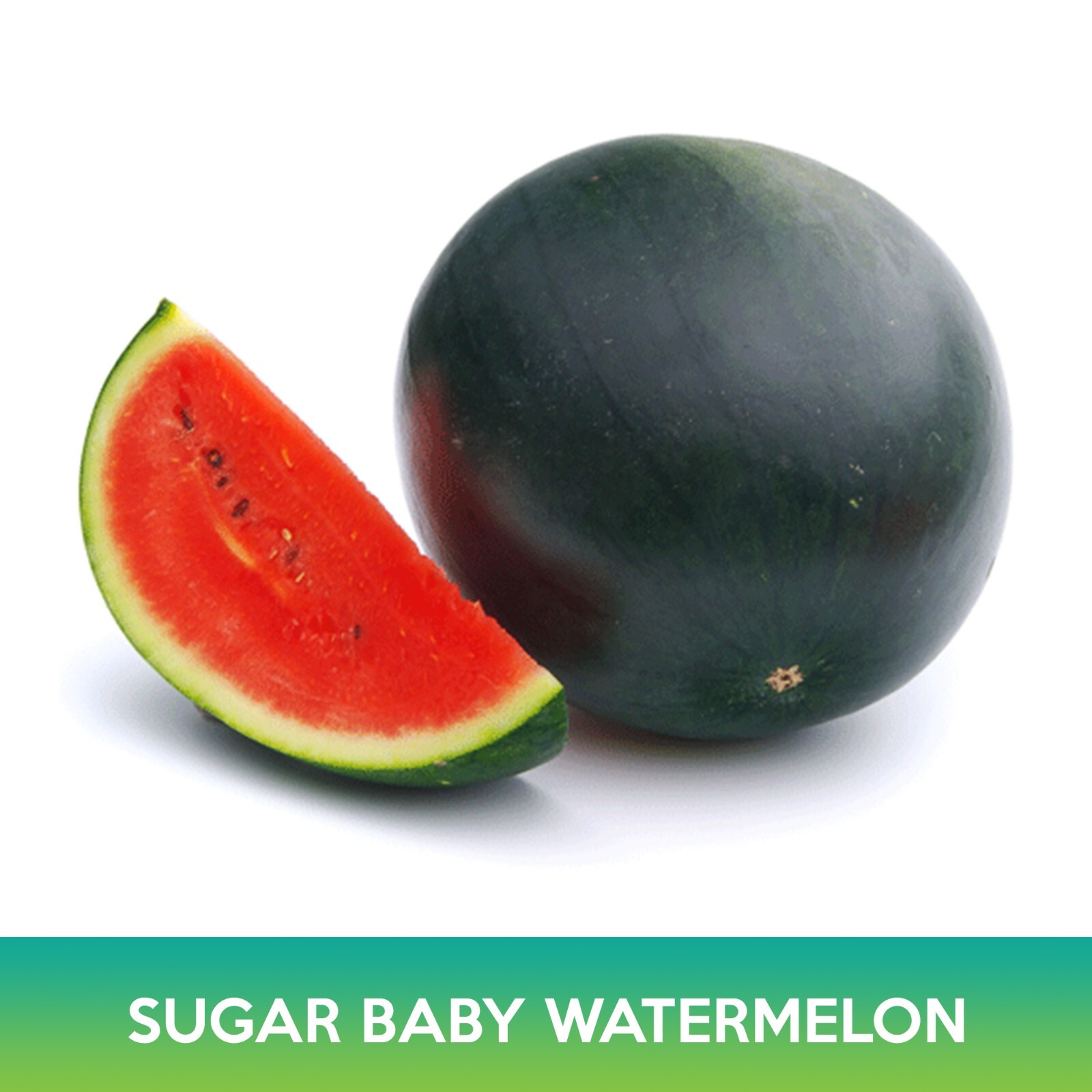 Sugar Baby Watermelon Seeds