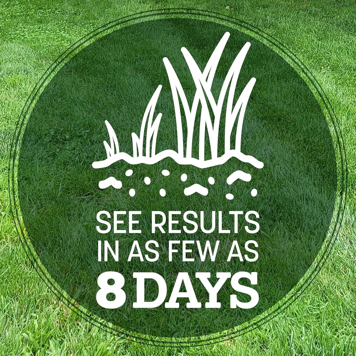 Fast Growing Grass Seed for Lawns – Heat and Rain Resistant