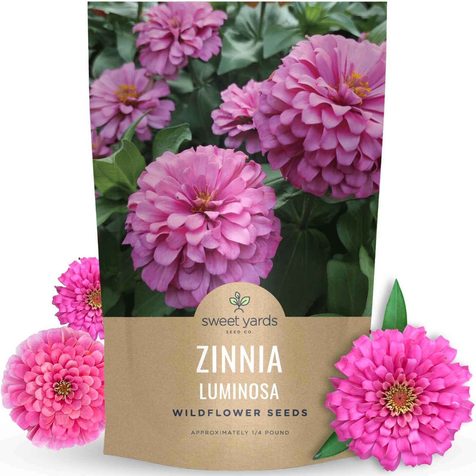 Zinnia Luminosa – Bulk 1/4 Pound Pouch – 15,000 Bag (15,000 Seeds)