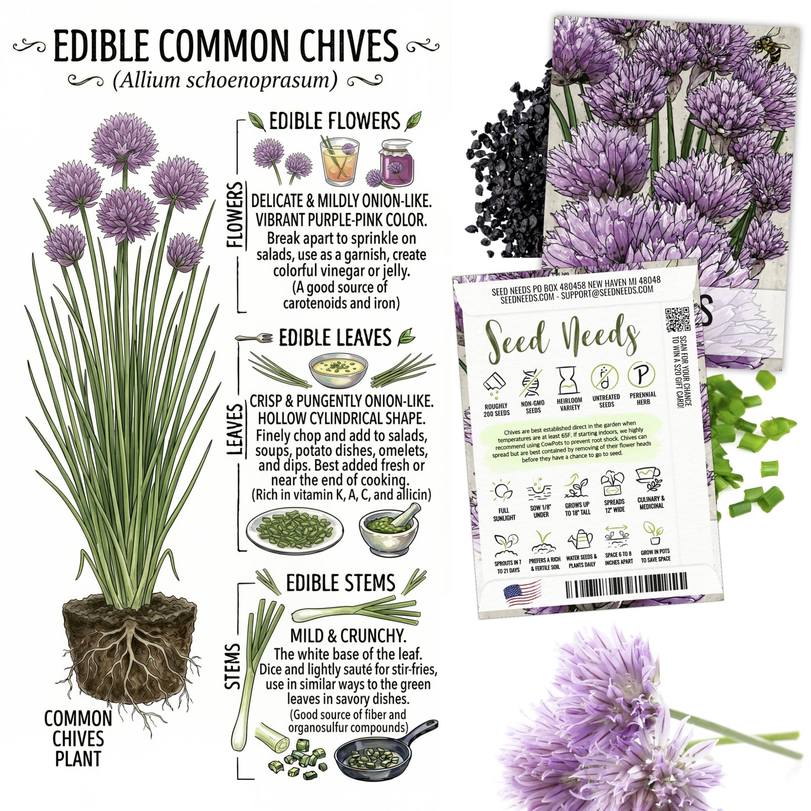 Edible Flower Seeds Variety Pack of 7 Wildflowers for Garnishing
