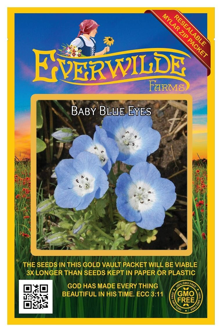 1000 Baby Blue Eyes Wildflower Seeds – Everwilde Farms Mylar Seed Packet