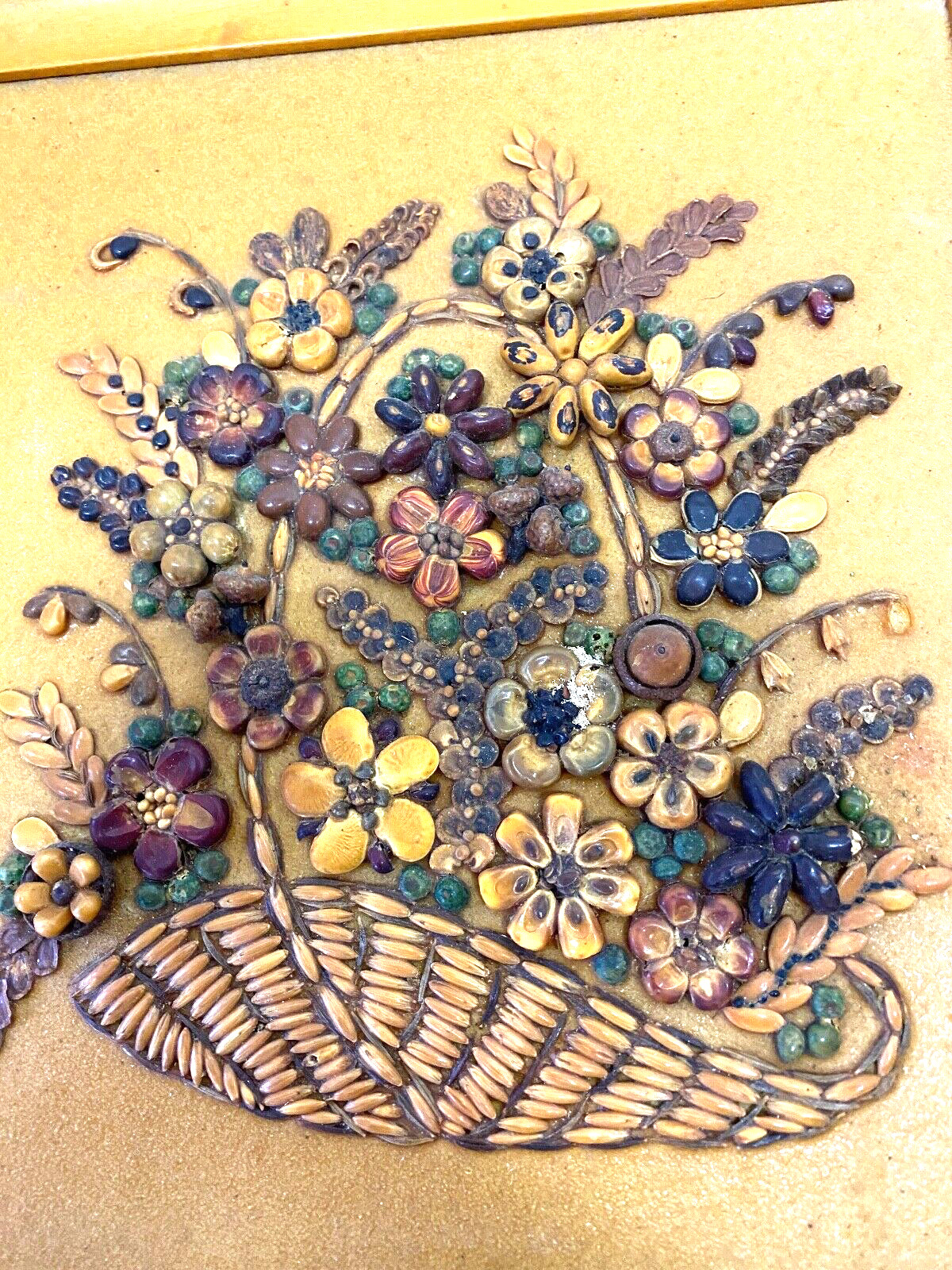 Picture of Seeds in 9 X 10 Frame Multi