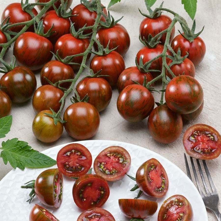 Tomato Seeds – Cherry – Gum Drop Black Hybrid Organic Seeds – non gmo