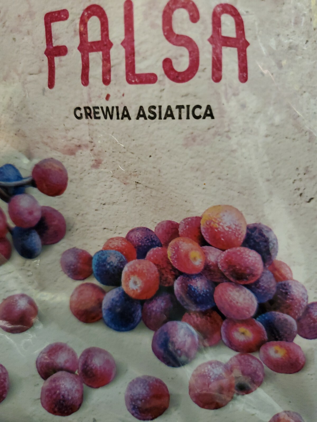 FALSA Fertile Fruits seeds as Known Pakistani Berry 40 seeds in pack