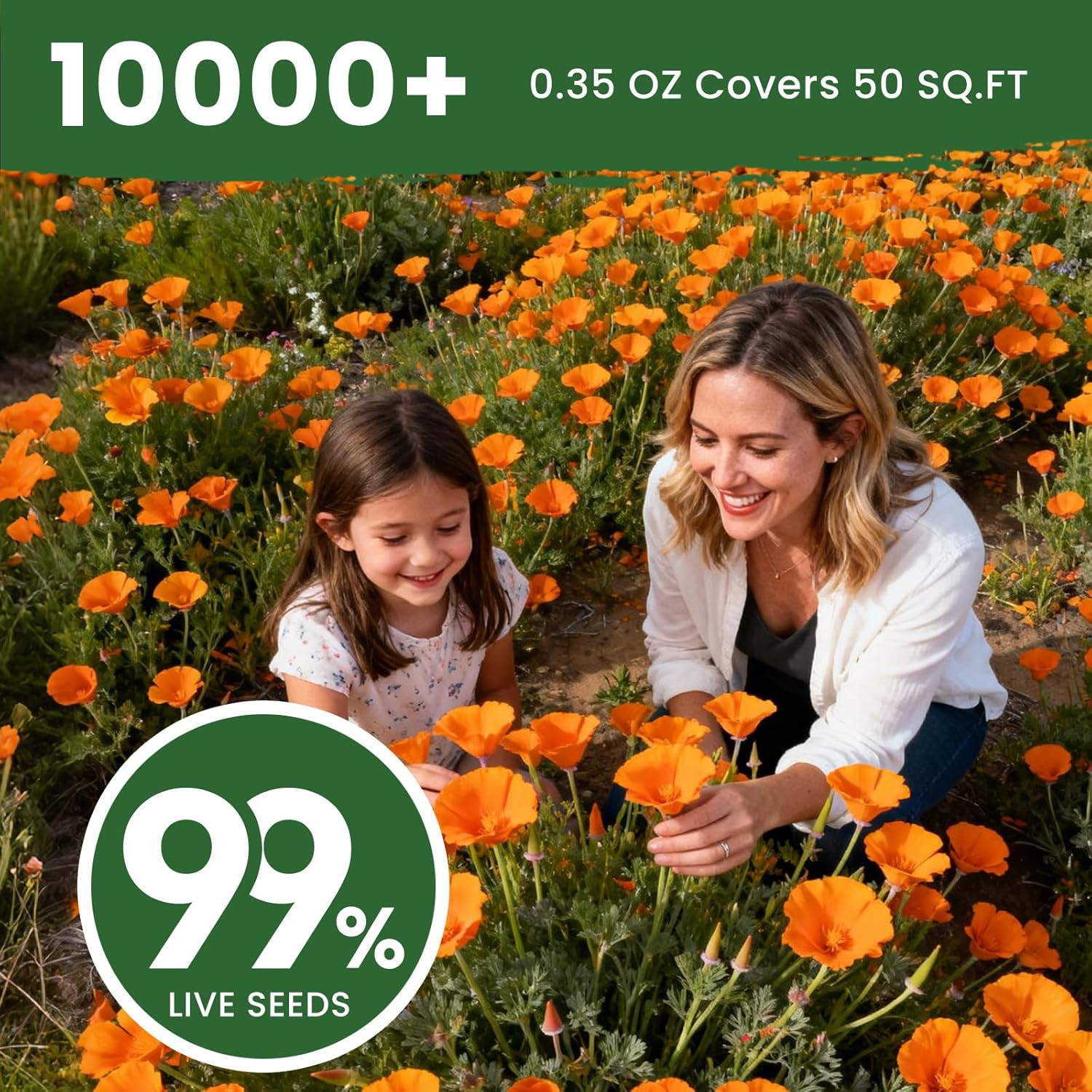 Orange California Poppy Seeds for Planting 0.35 Ounce Packet – Over