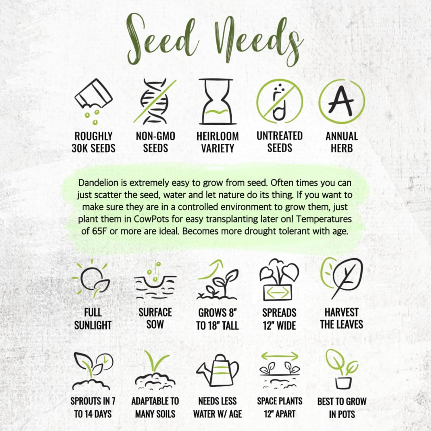 30,000+ Common Dandelion Herb Seeds for Planting – Non-Gmo, Heirloom & Untrea…