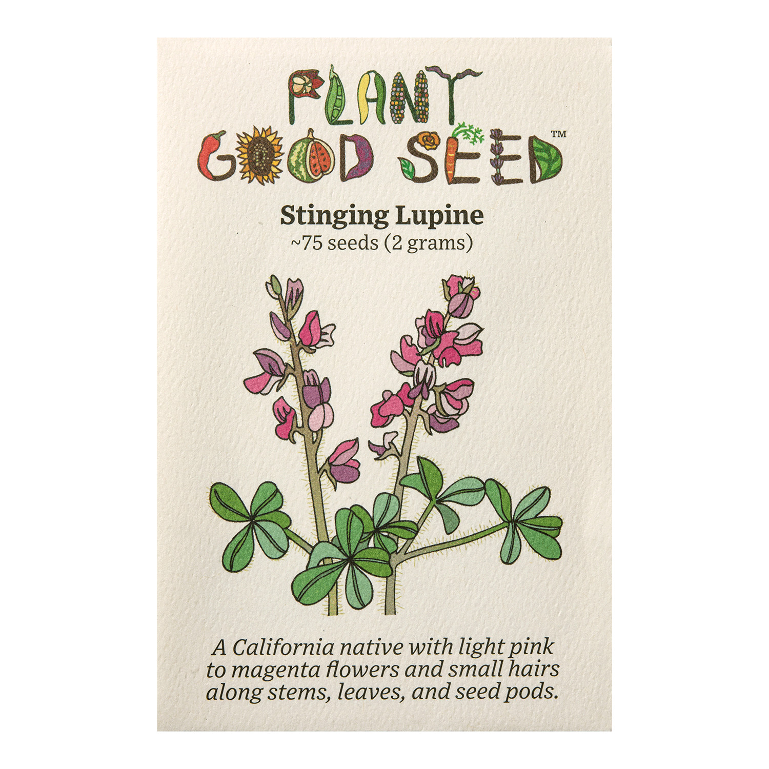 Stinging Lupine Seeds