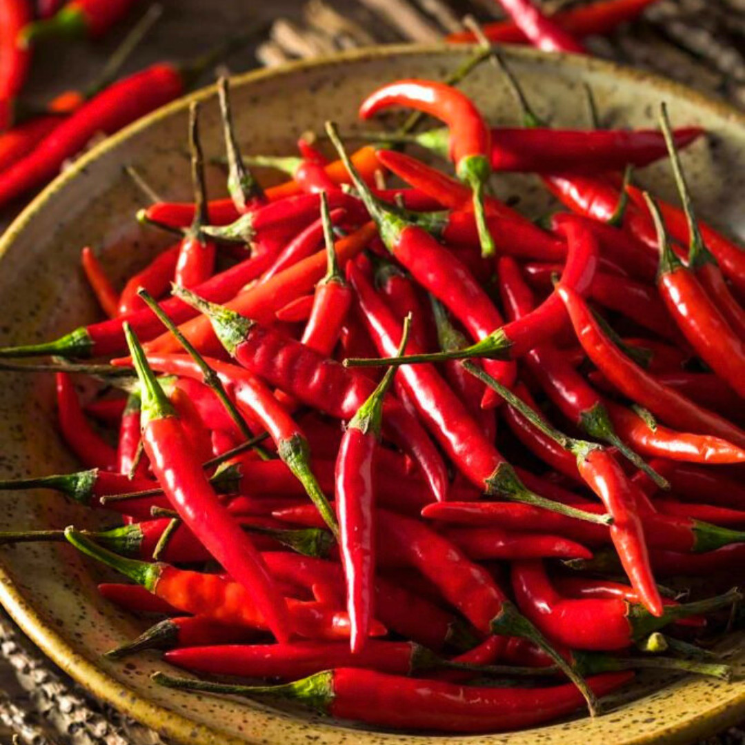 Fresh Birdseye Pepper Seeds | Wai Yee Hong | Heirloom Non-GMO | Vegetable Seeds