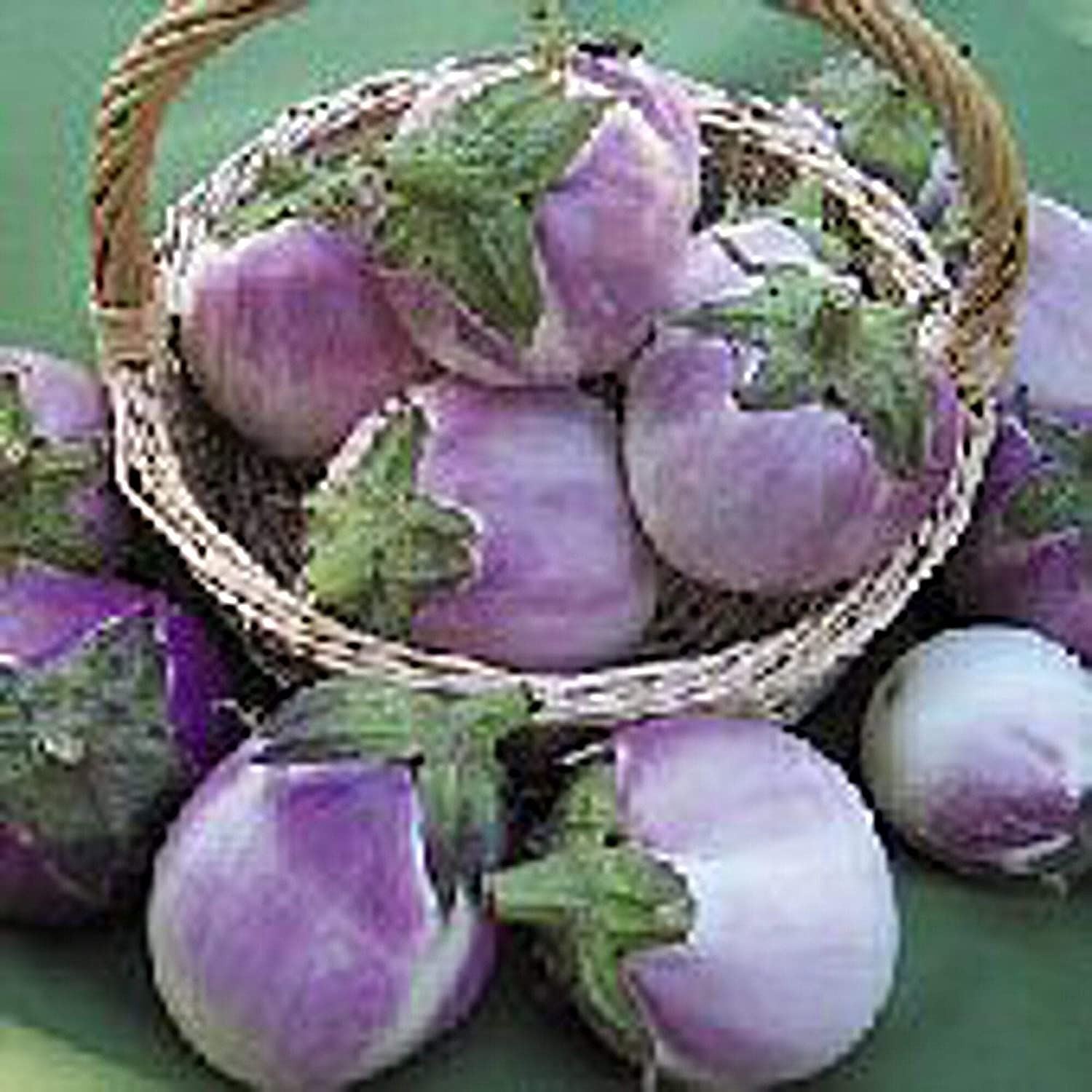 Round Mauve Eggplants Seeds (25+ Seeds)