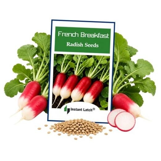 100 French Breakfast Radish Seeds | Non-GMO | Fresh Garden Seeds