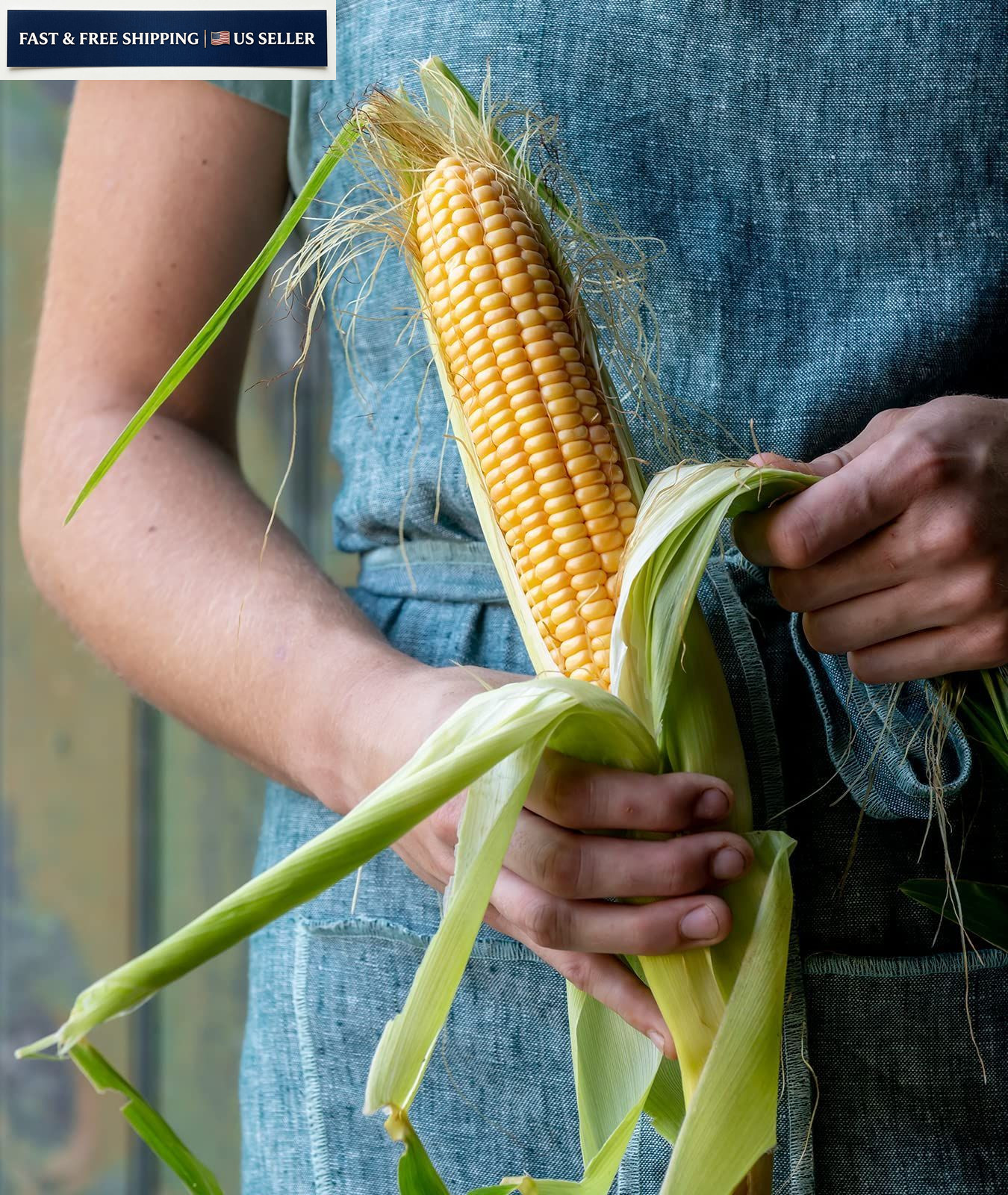 Burpee Golden Bantam Sweet Corn Seeds 200 seeds 200 Seeds,