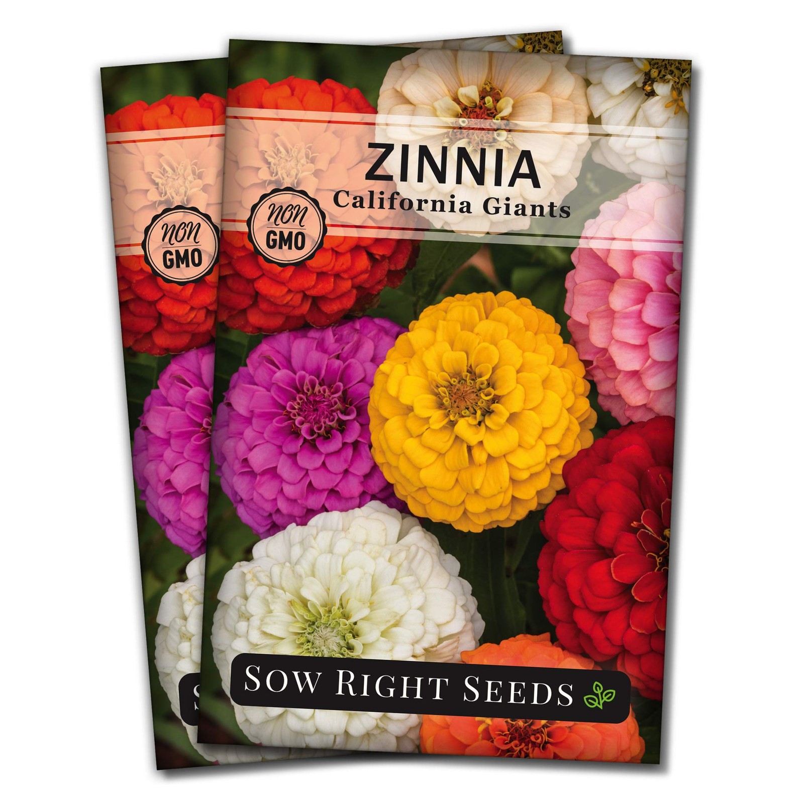 Sow Right Seeds – California Giants Mix Zinnia for Planting –