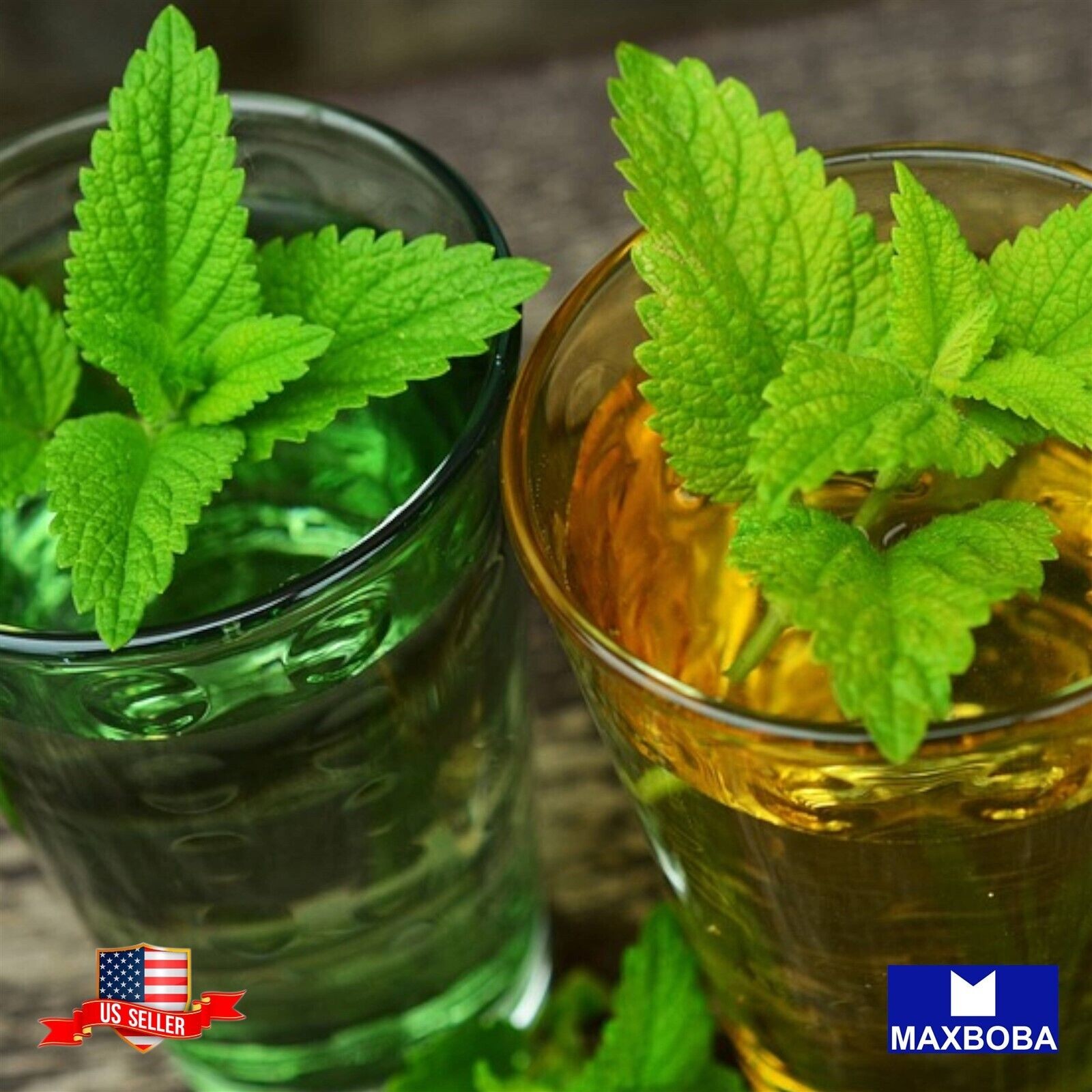 Premium Lemon Balm 1000 Seeds Melissa Repellent Non-GMO Heirloom