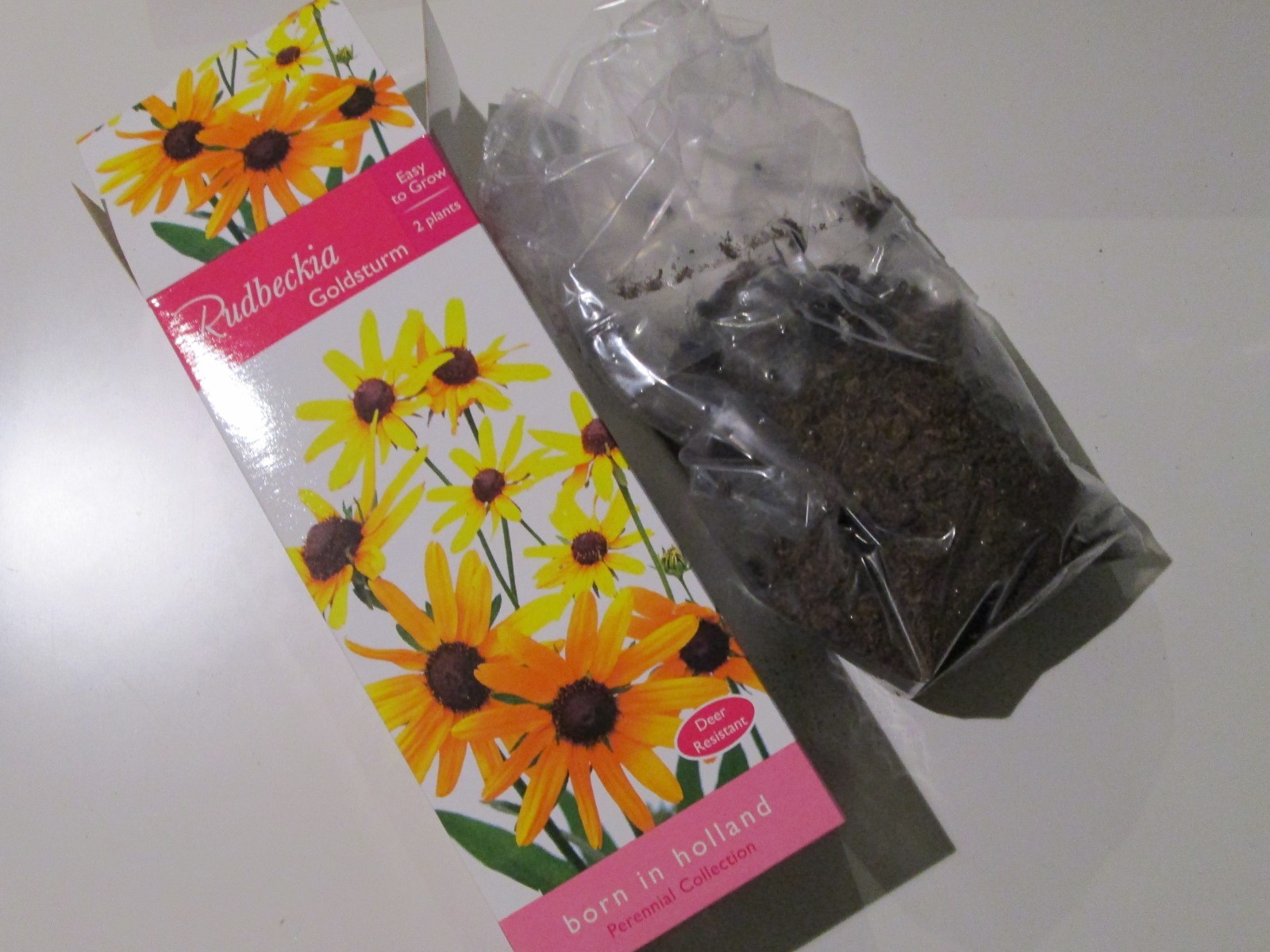 New 2 plants in Box for Sale – Perennial Collection ( Easy to Grow ) Goldsturm