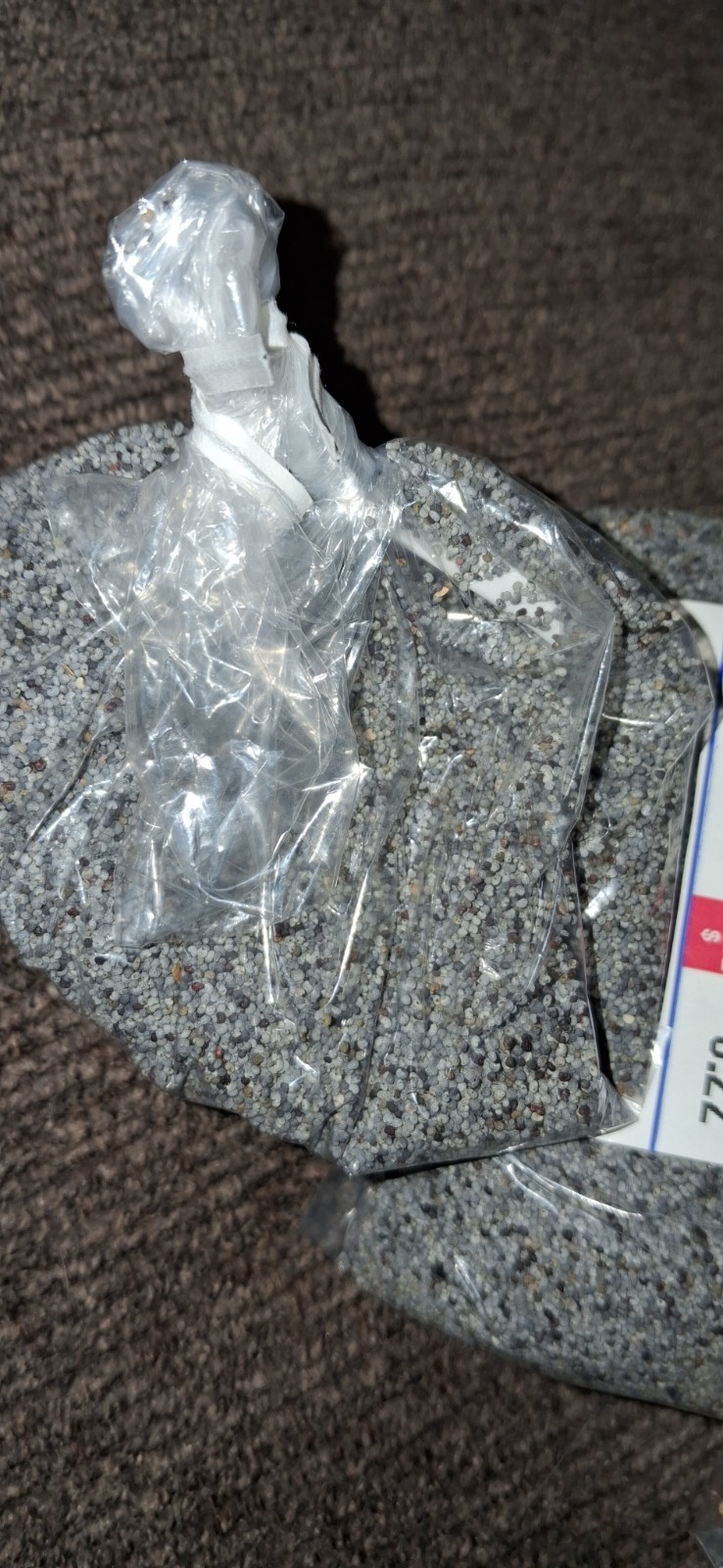 5000+ seeds | BUY 2 GET 1 FREE | RARE SOMNIFERUM poppy MIX for planting