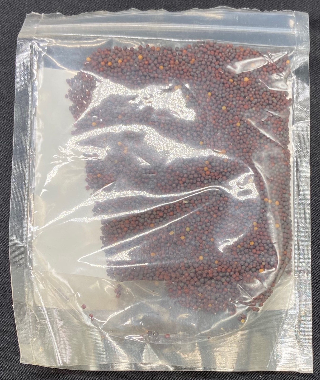 Seeds – MIZUNA mustard greens – Handy Pantry – 4 oz. package