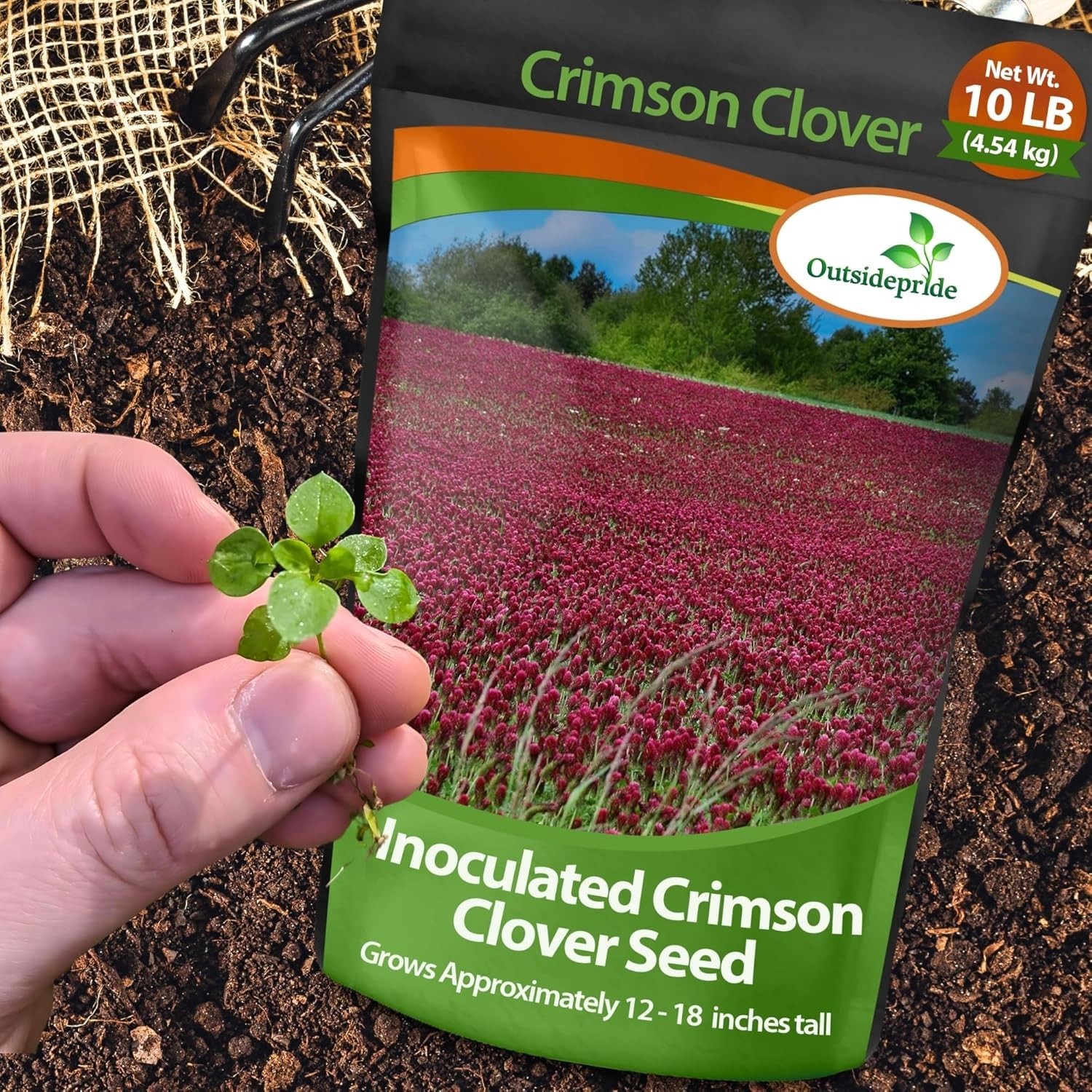 Crimson Clover Seeds – 10 lbs Nitrocoated, Perfect for Lawns & Soil Enrichment