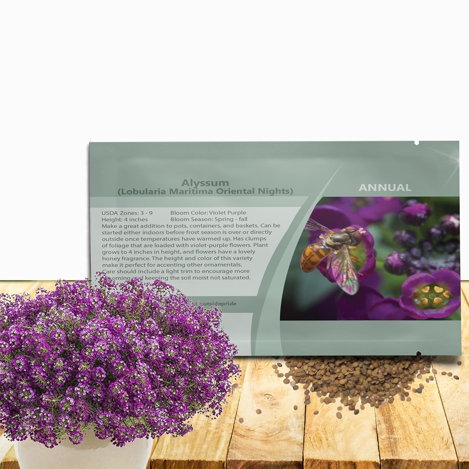 Oriental Nights Alyssum Seeds – 5000 Pcs Annual, Drought-Tolerant & Pollinato…