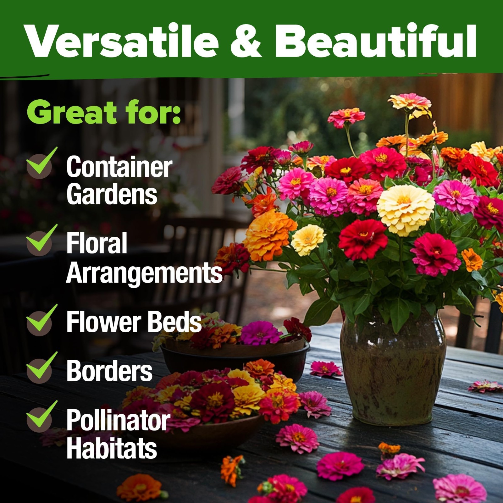 Zinnia Seeds California Giant Mix – 7,300+ Bulk Flower Seeds for Pollinator Gard