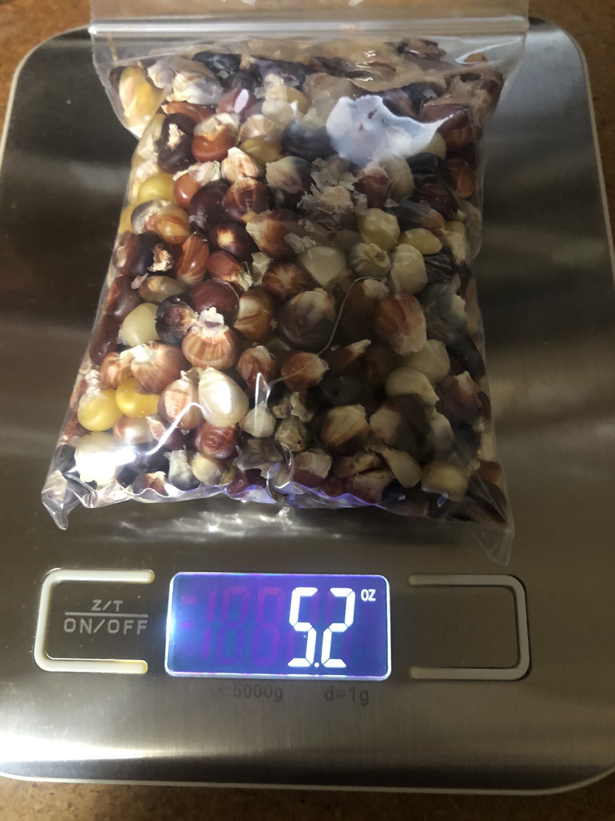 Mix of 500+ or 5 ounces, Indian Ornamental Corn Seeds Heirloom Non-GMO, Free S&H