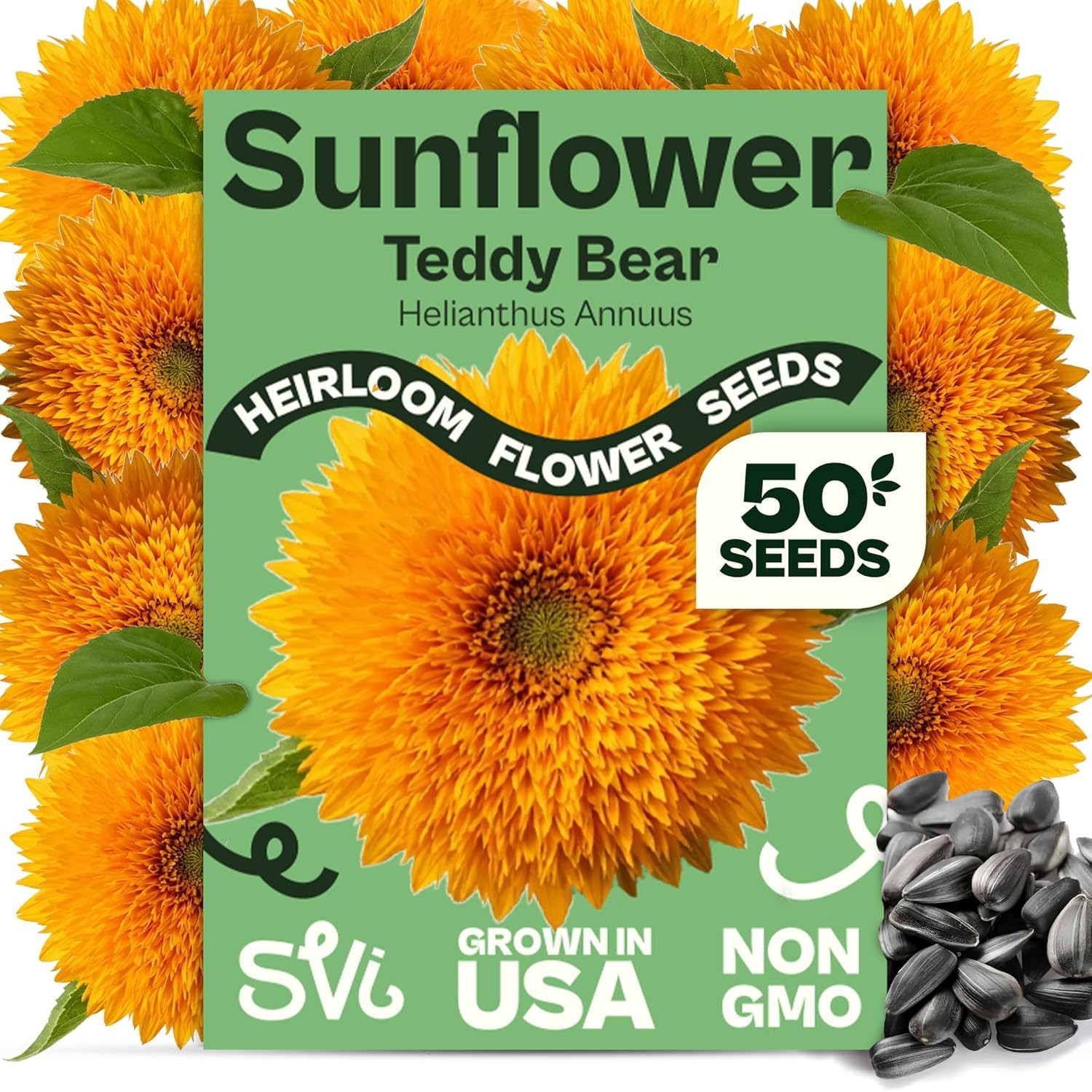 50 Teddy Bear Sunflower Seeds (Helianthus Annuus) – Dwarf Teddy Bear Sunflower S