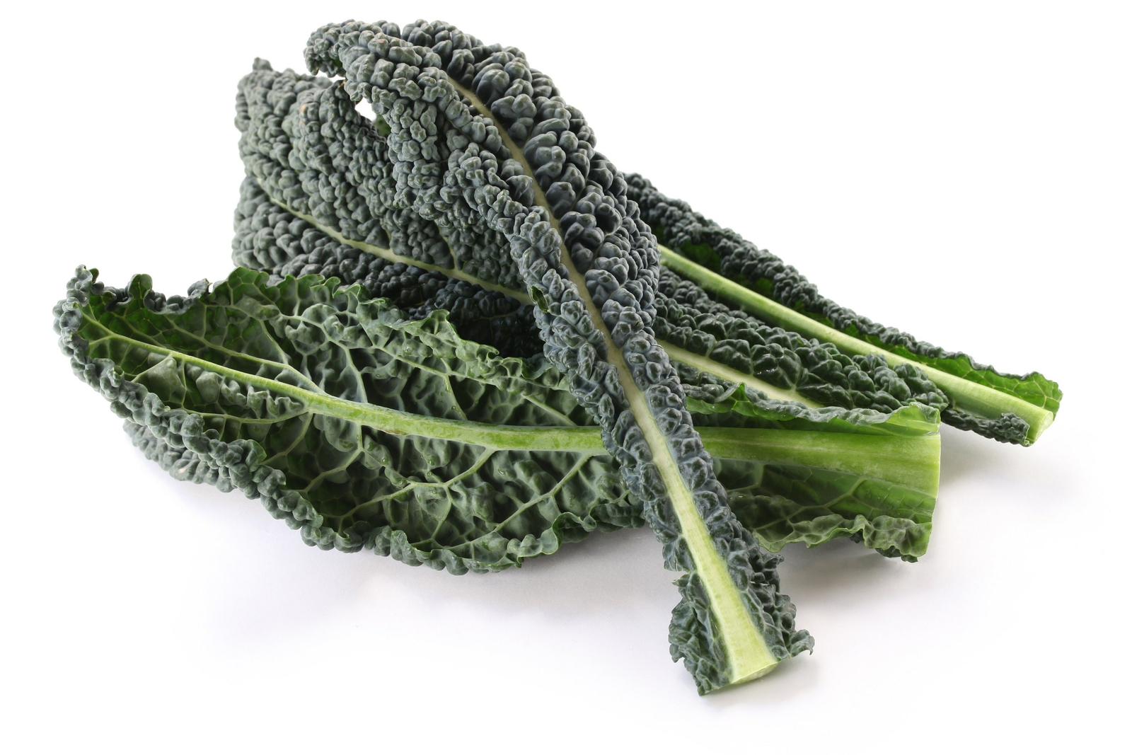 Dinosaur Kale Lacinato Tuscan Italian Wedding Soup Heirloom Cavolo Nero Premium