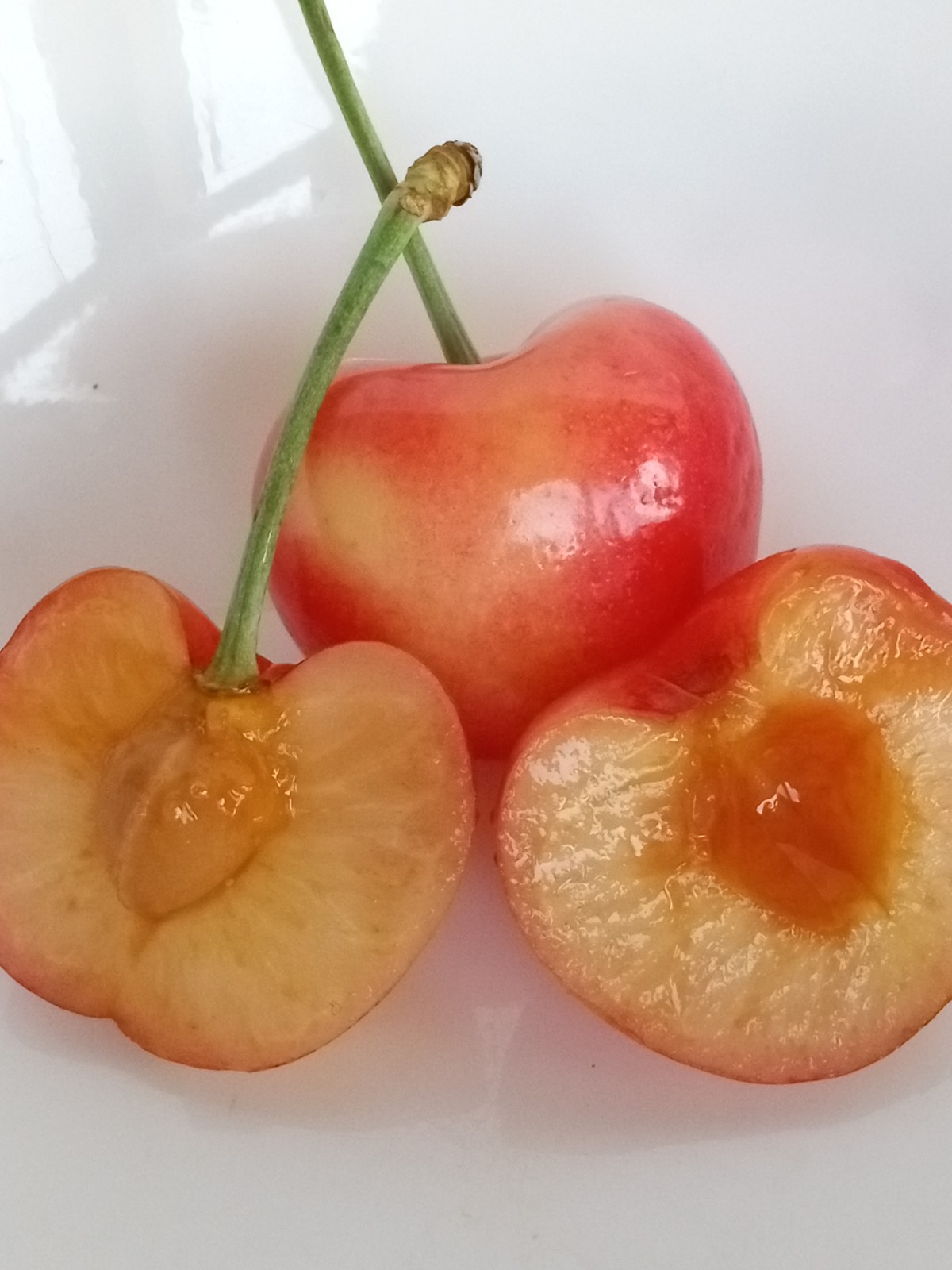 Sweet Organic Rainier Cherry – 5 Seeds Ready to Germinate-Edible Fruit Tree USA