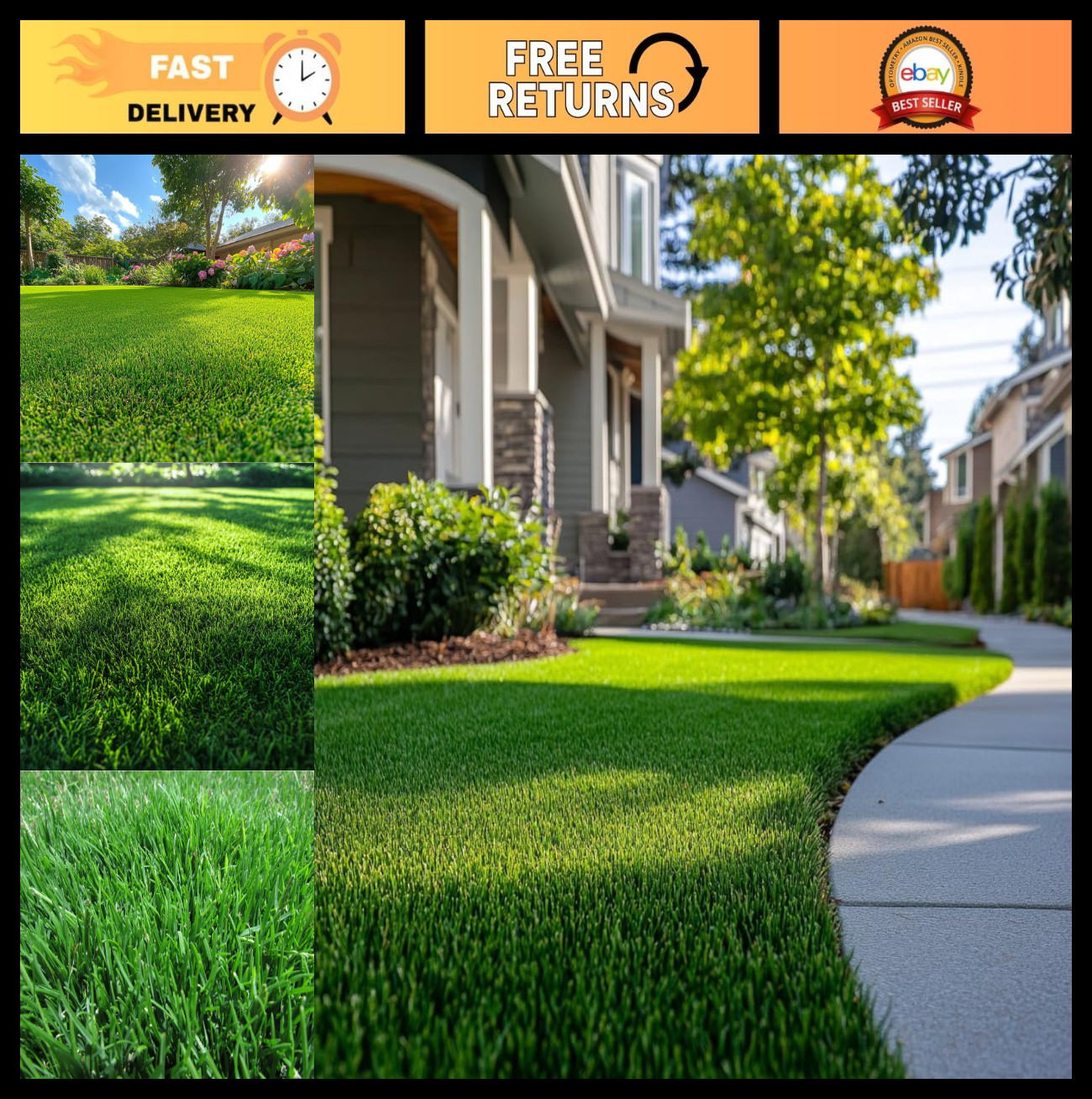 Dense Zoysia Grass Seeds – Low-Maintenance, Drought-Tolerant Lawn Turf, Soft Tex