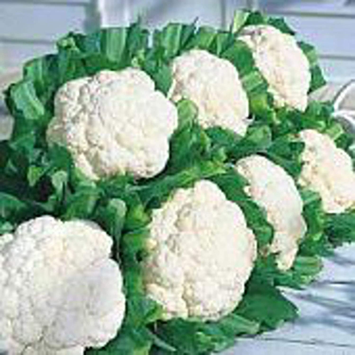Snow Crown Cauliflower Seeds (25+ Seeds)