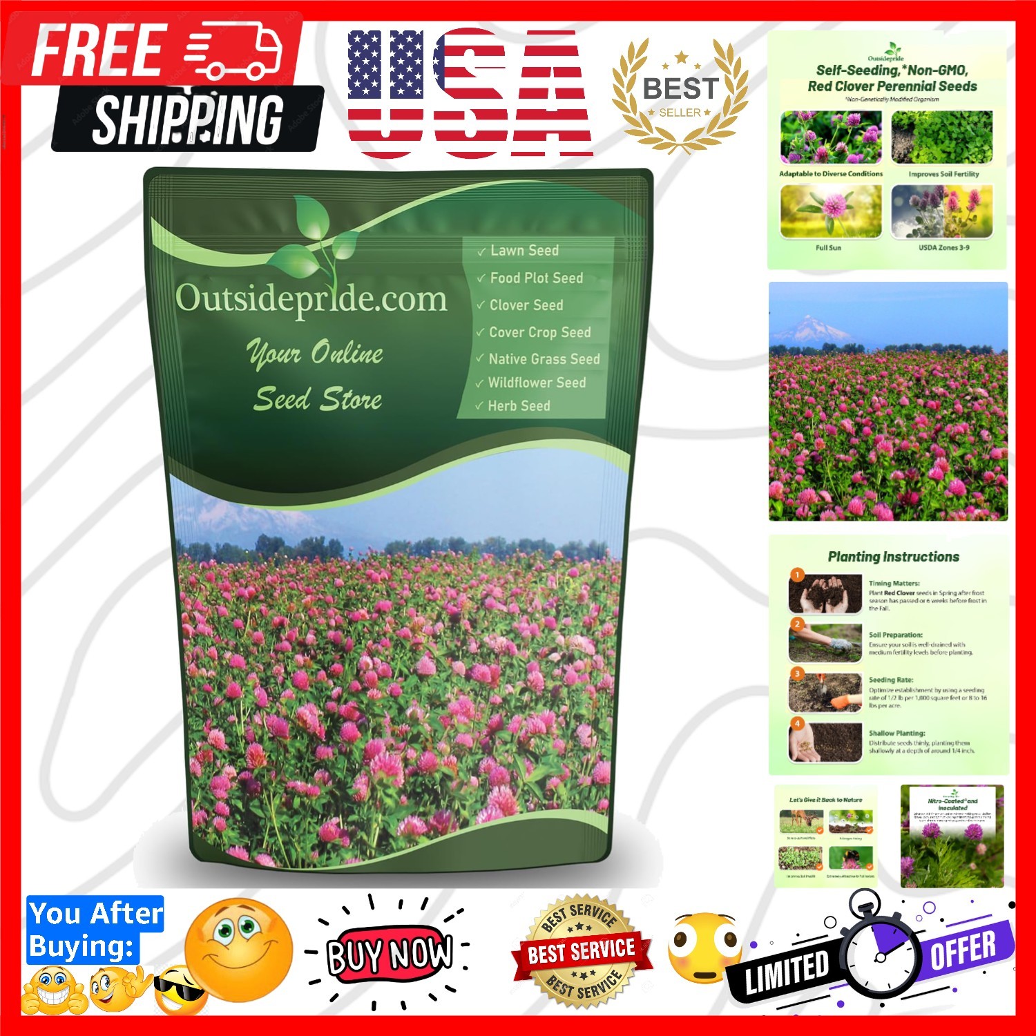 Perennial Red Clover Seeds – 1/4 lbs. Self-Seeding, Nitrocoated, Inoculated C…