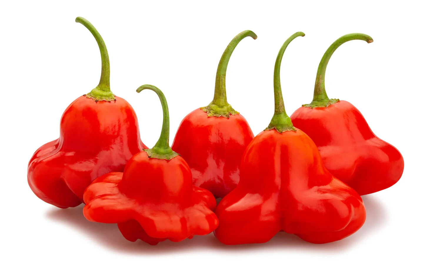 Ubatuba Cambuci / BRAZILIAN Orchid pepper seeds (20) / MILD / EXTREMELY RARE