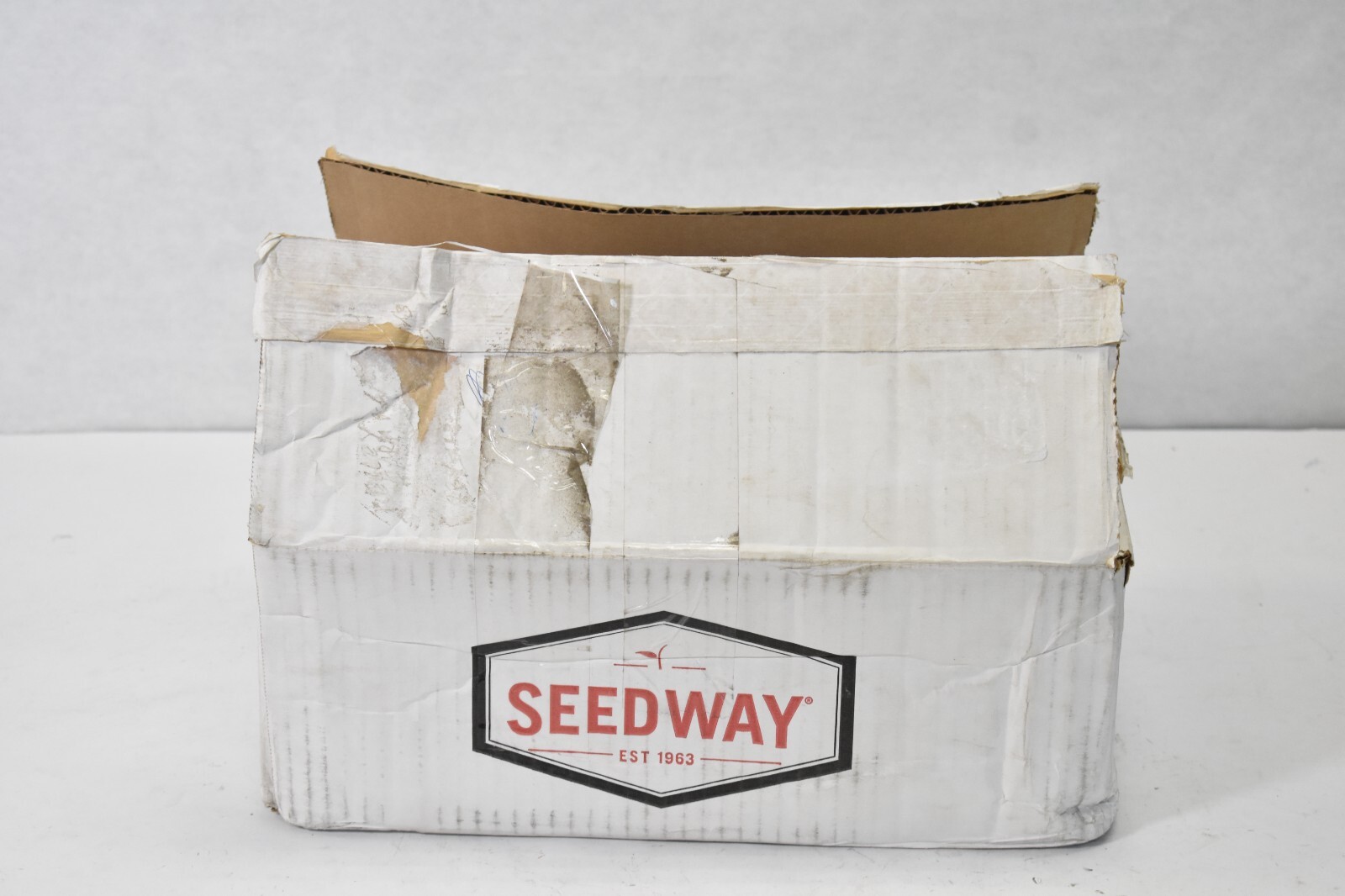 Lot of 24 Speedway Garden Bean Seeds Vegetables Green Snap Pods Long Tendergreen