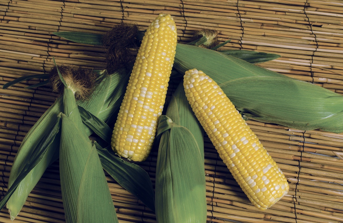 USA Golden Corn 25 Seeds Natural Non-GMO Heirloom Sweet Corn, FREE SHIPPING