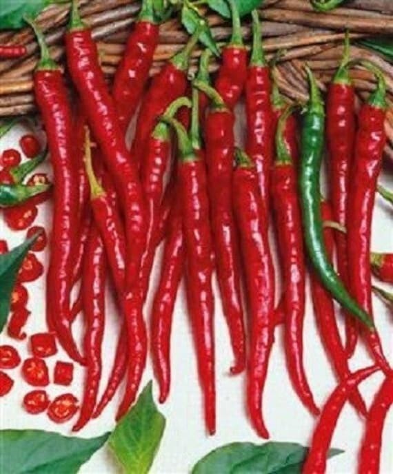 Long Slim Cayenne Hot Pepper Seeds | NON-GMO | Heirloom | Fresh Garden Seeds