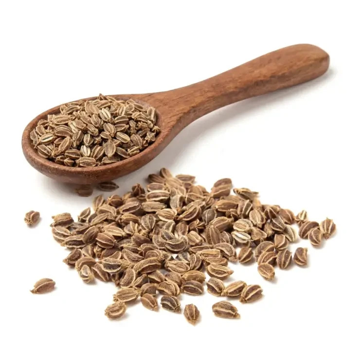 NY Spice Shop Celery Seeds – Whole Natural Spice for Cooking & Pickling
