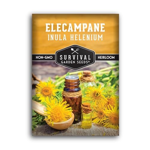 Elecampane Seeds for Planting – Traditional Medicinal Herb (Inula helenium) 1
