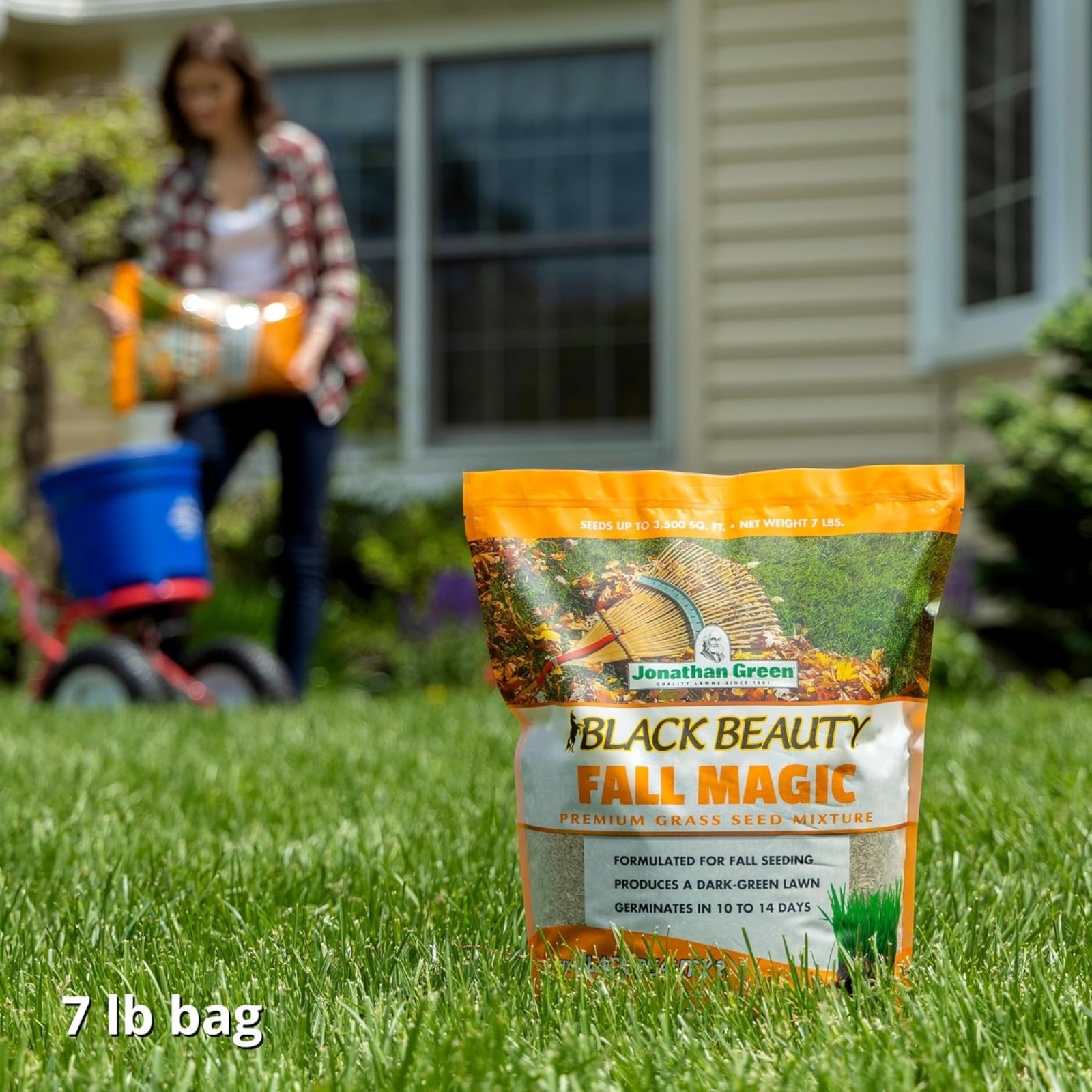 Jonathan Green (#10768) Black Beauty Fall Magic Grass Seed, 7# bag
