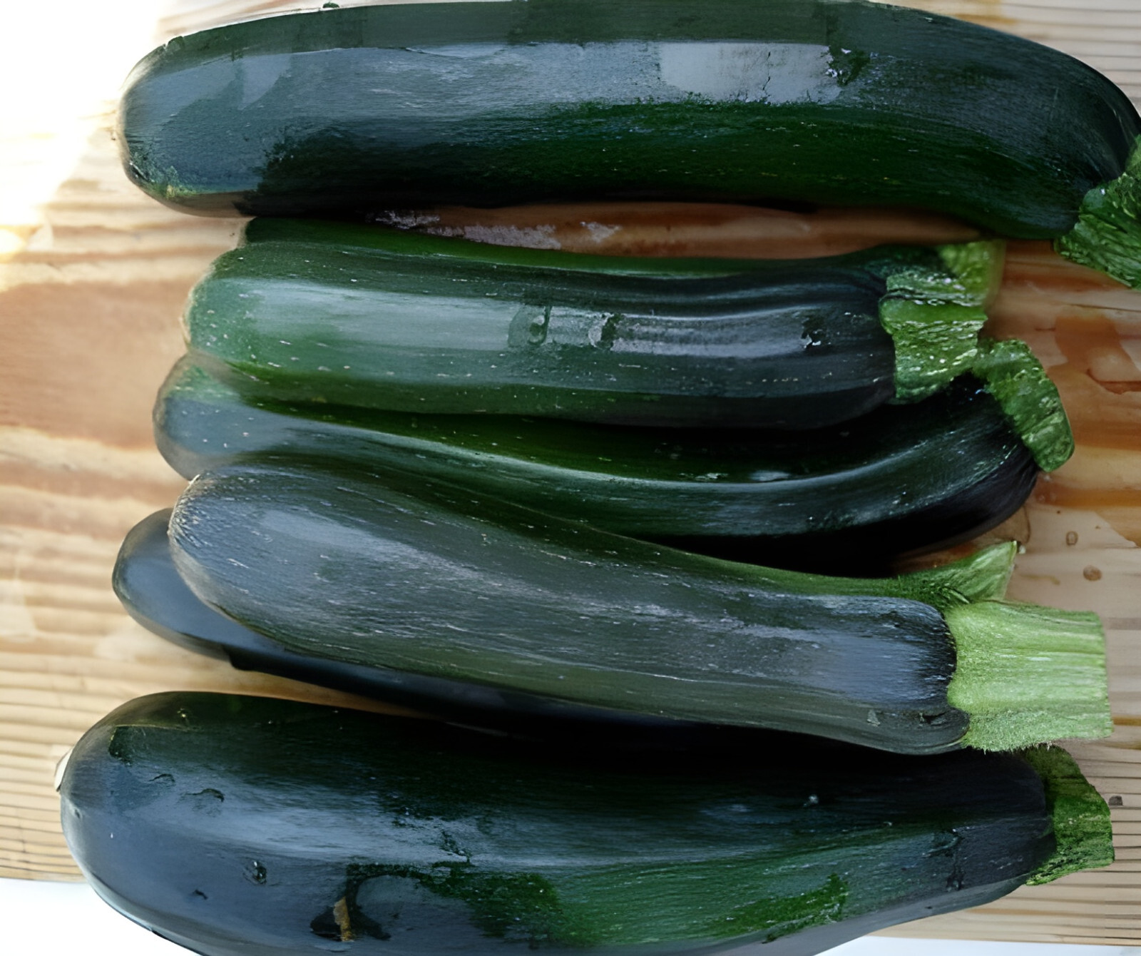 40 Heirloom Black Beauty Zucchini Seeds – Organic, Non-GMO, High-Yielding
