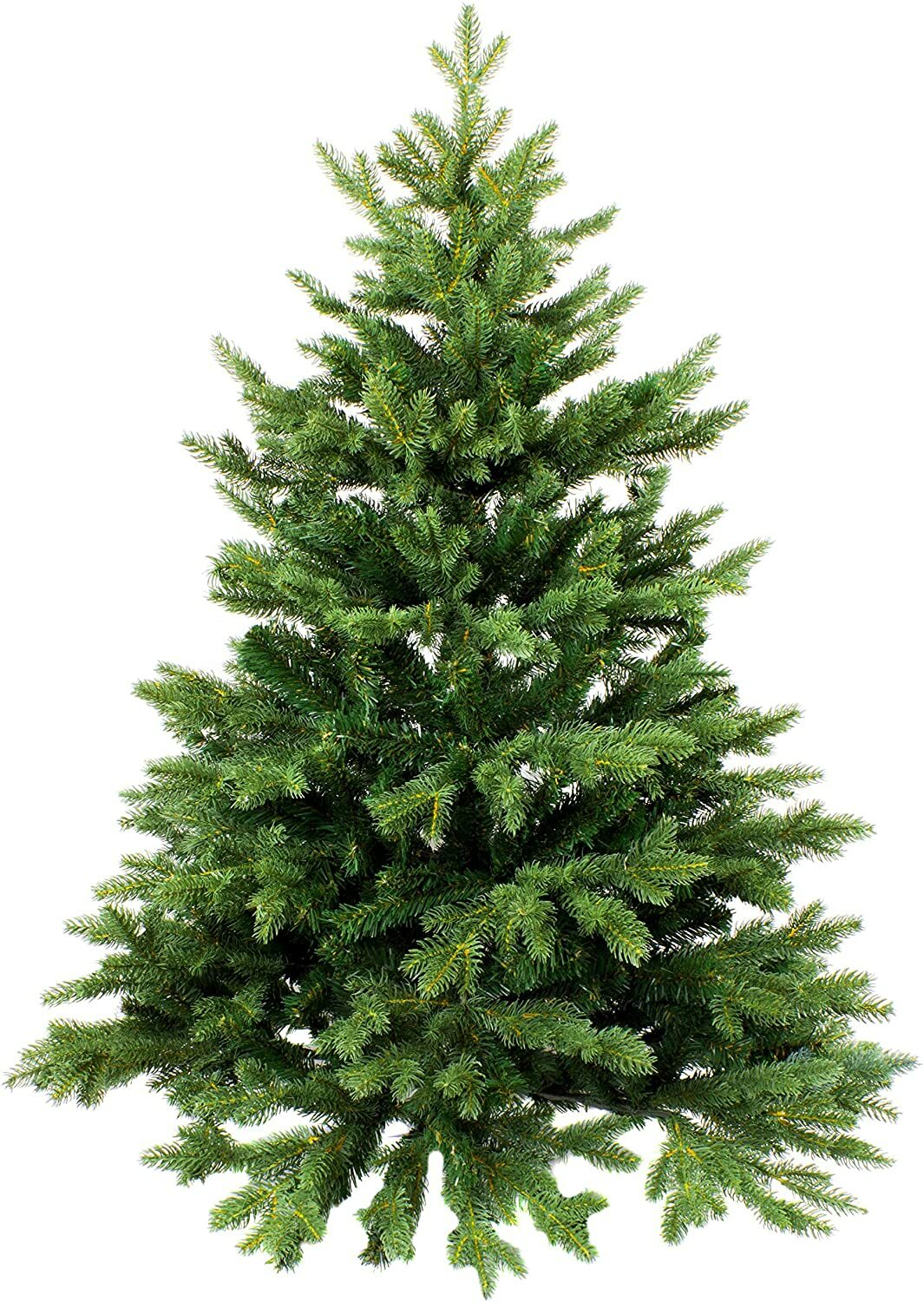30 Red Spruce Tree Seeds to Plant Picea Rubens Ships from Iowa USA
