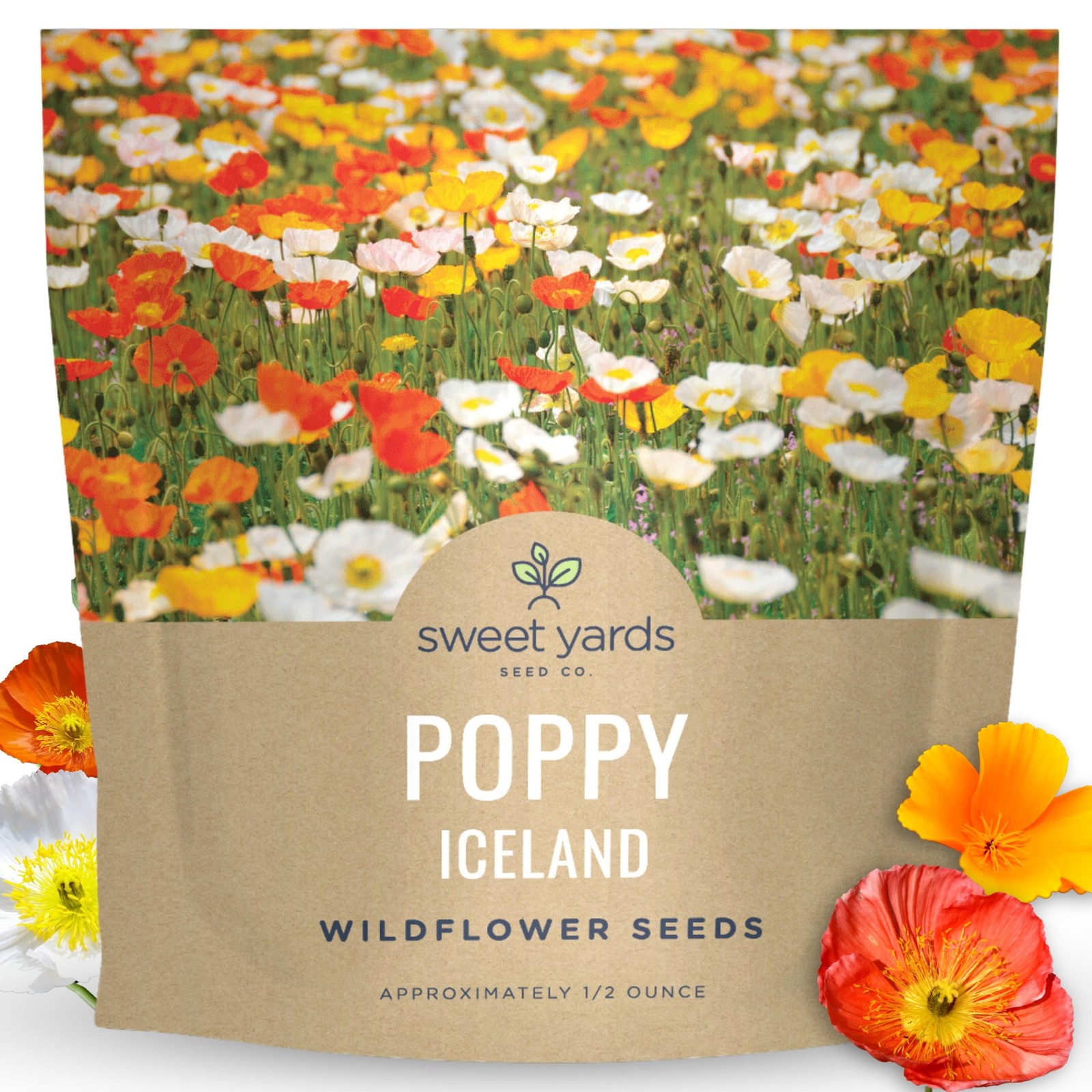 Poppy Iceland Large 1/2 Ounce Packet 75,000 Flower Seeds for Planting Pap…