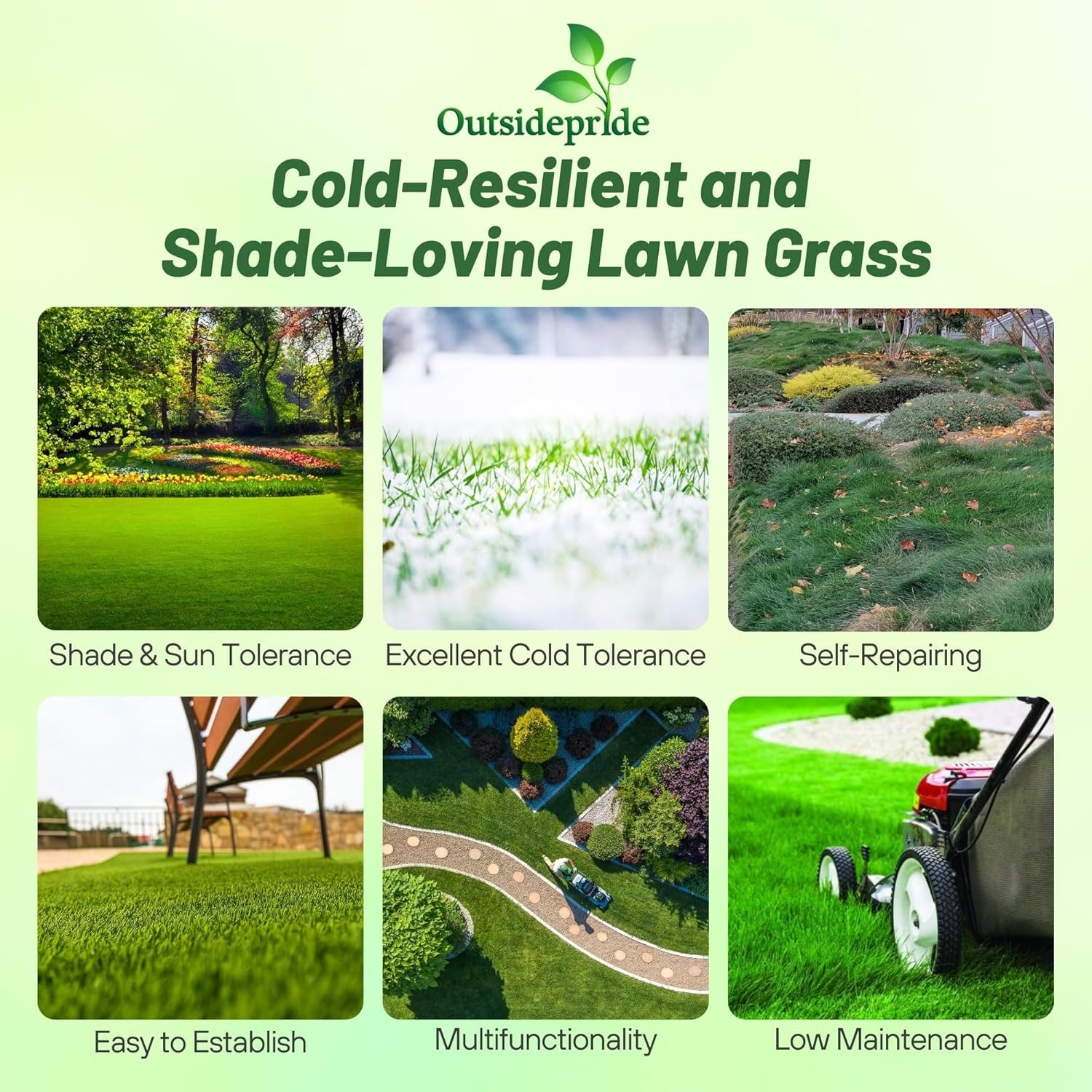 5 LBS – OptiGrowth Coated Creeping Red Fescue Grass Seed For Shade