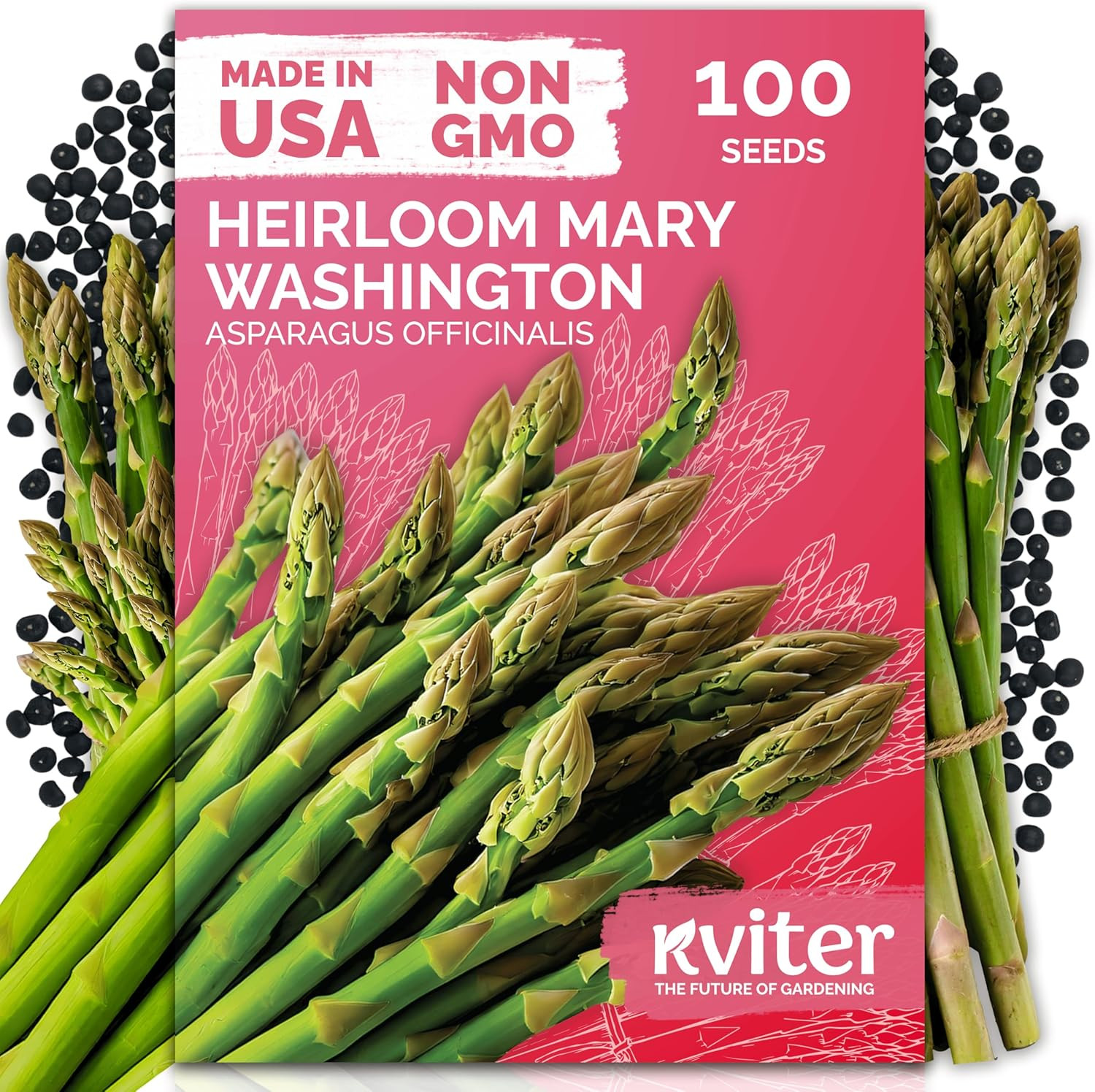 100 Mary Washington Asparagus Seeds (Asparagus Officinalis) – Heirloom Non GMO A