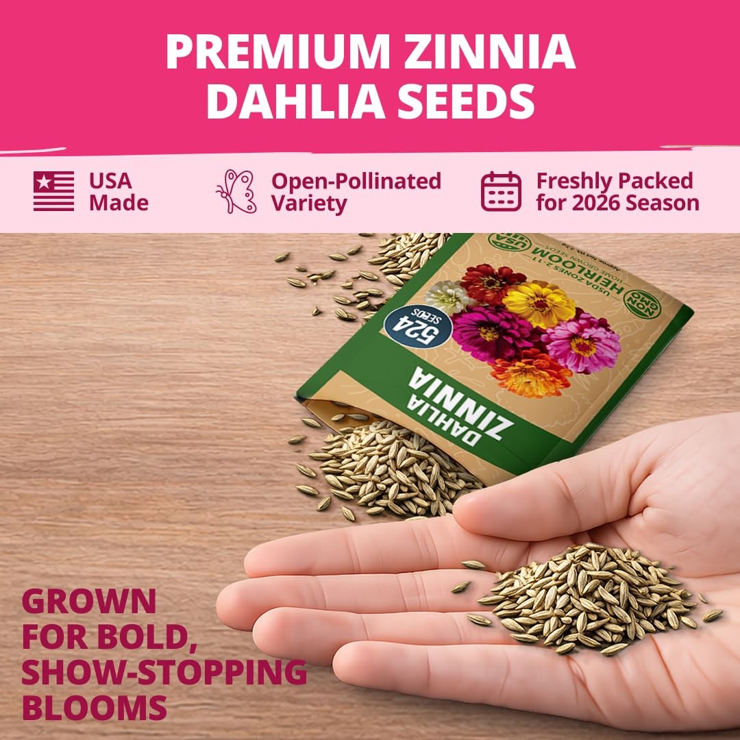 HOME GROWN Zinnia Dahlia Flower Seeds Pack 2026 Non GMO 524 Vibrant Garden Mix