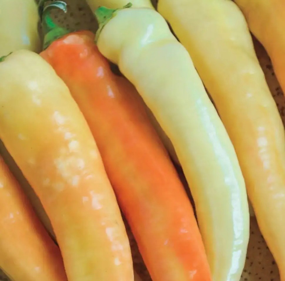 Sweet Banana Pepper – Fresh Organic Seeds – Mild Yellow Banana Chile, USA Seller