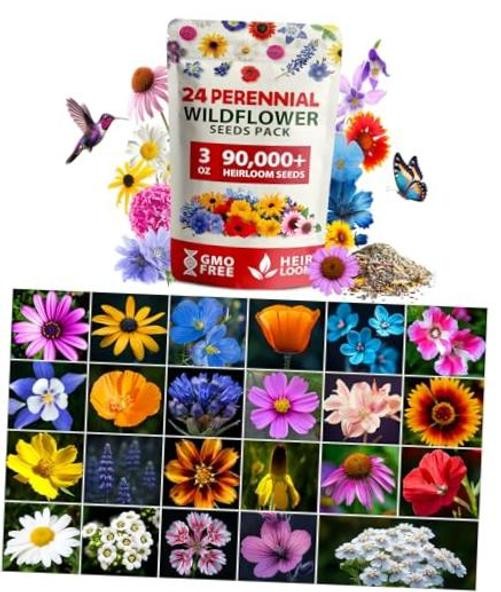 Bulk Wildflower Seeds – 90,000+ Non-GMO Perennial – XL – Wildflower Seeds