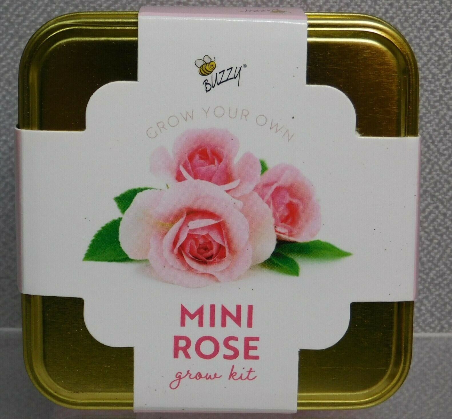 Buzzy Grow Your Own Mini Rose Kit with Planter, Seeds, & Growing Medium