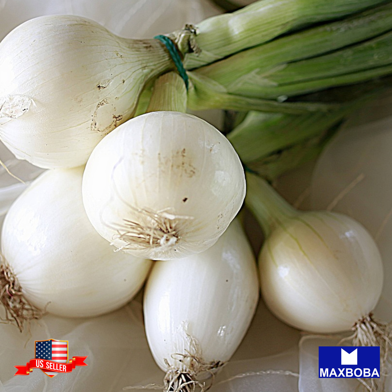 Onion Seeds – Long – White Sweet Spanish Non-GMO Heirloom Vegetable
