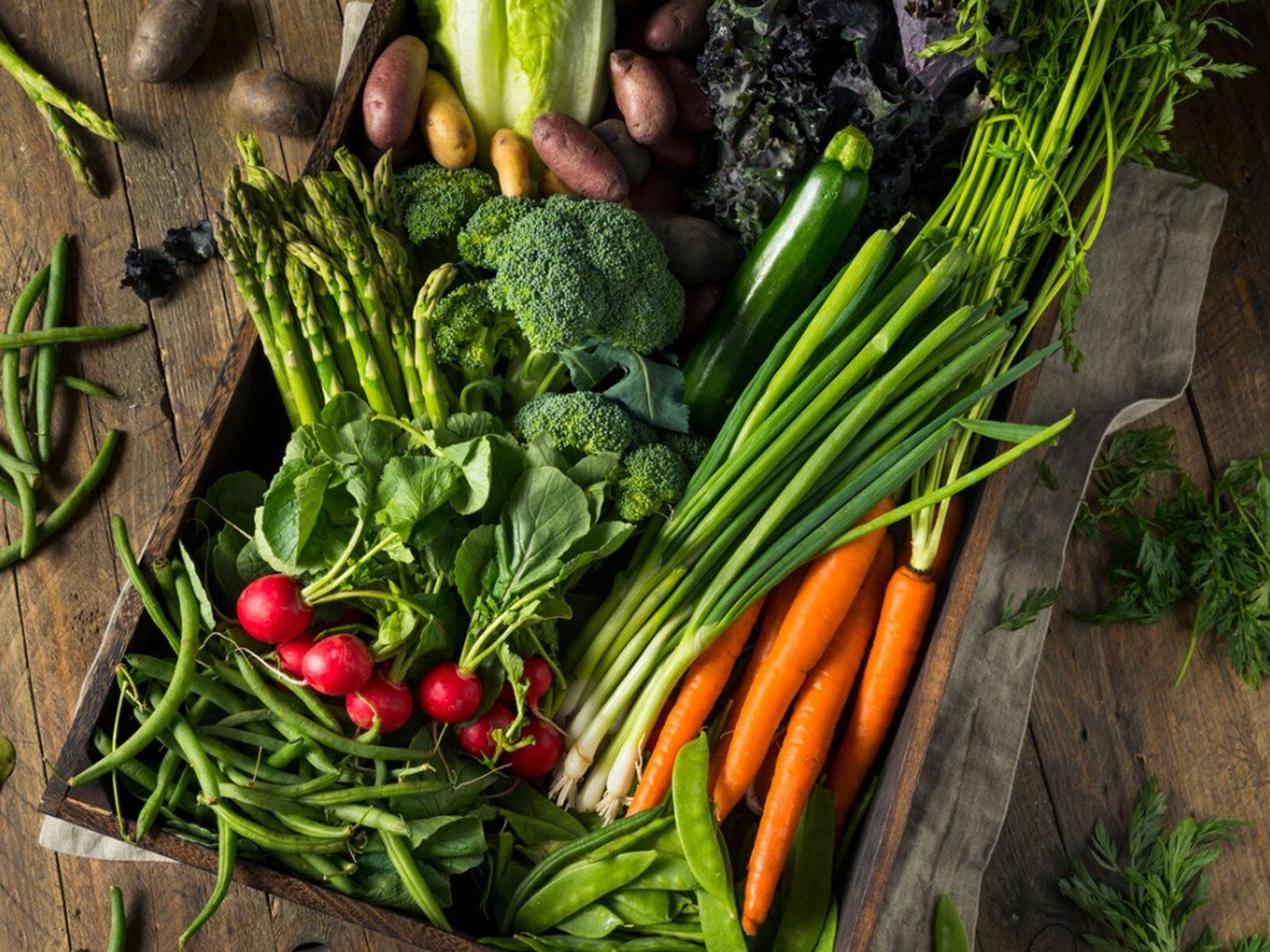 Fruit and Vegetable Garden Seed Kit | 50+ Seeds Each Watermelon, Cantelope, Toma